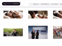Acousticsheep