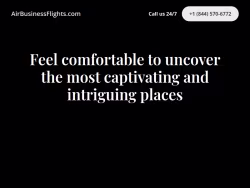 Airbusinessflights
