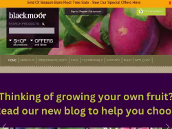 Blackmoor