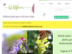 Thewildflowernursery