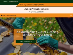 Guttercleaningsvcco
