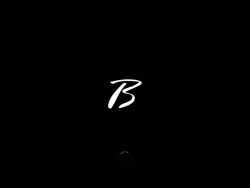 Borgataonline