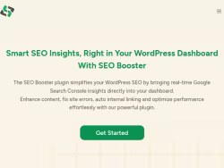 Seoboosterpro