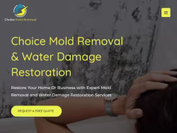Choicemoldremovalnyc