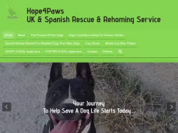 Hope4pawsukspainrescuerehomingservice