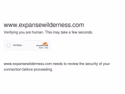 Expansewilderness
