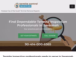 Termite-savannah