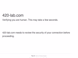 420-lab