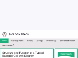 Teachfort
