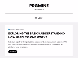 Prgmine