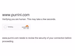 Purrini