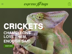 Expressbugs