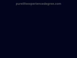Purelifeexperiencedegree