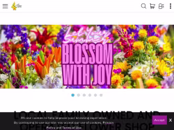Dibellaflowers