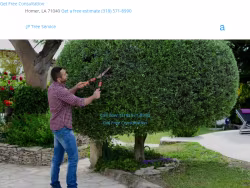 Treeservicehomerla