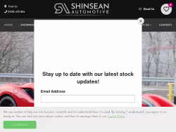 Shinseanautomotive