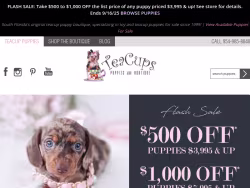 Teacupspuppies
