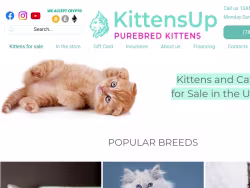 Kittensup4sale