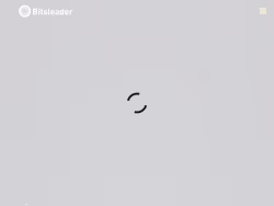 Bitsleader