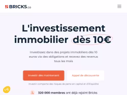 Bricks