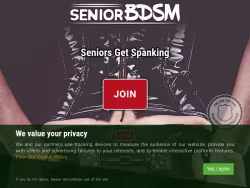 Seniorbdsm