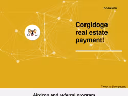 Corgidoge