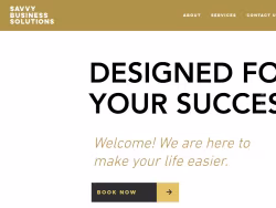 Savvybusinesssolutions