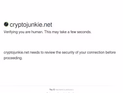 Cryptojunkie
