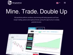 Bicapitalhub