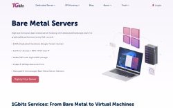 1gbits.com