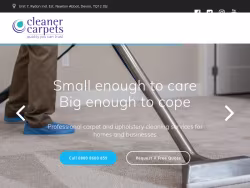 Cleanercarpets