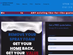 Gbsprayfoamremoval