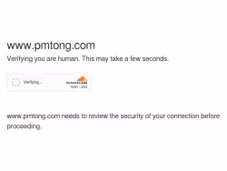 Pmtong