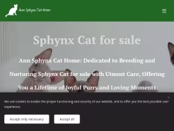 Sphynxskitty