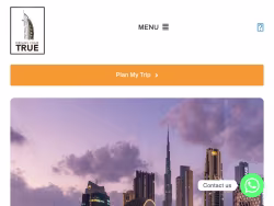 Thedubaicitytour