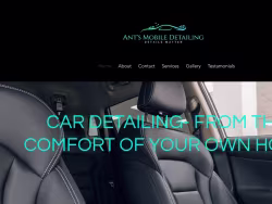 Antsmobiledetailingllc