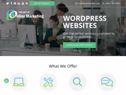 Theartofonlinemarketing