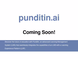 Punditin