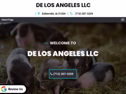 Delosangelesllc
