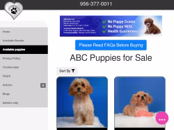 Abcpuppy