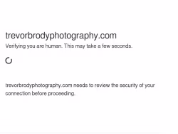 Trevorbrodyphotography