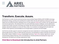 Arielpartners