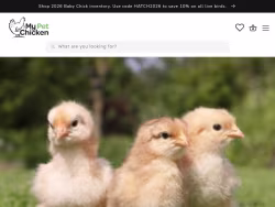 Mypetchicken