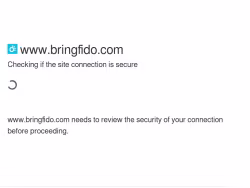 Bringfido