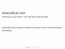 Bitkub