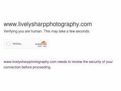 Livelysharpphotography