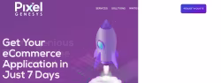 Pixelgenesys