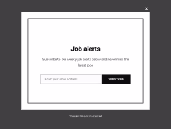 Vizajobs