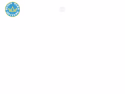 Stockkingoptions
