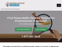 Termite-newnan